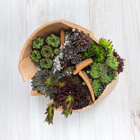 Gartenschule Kreativ 