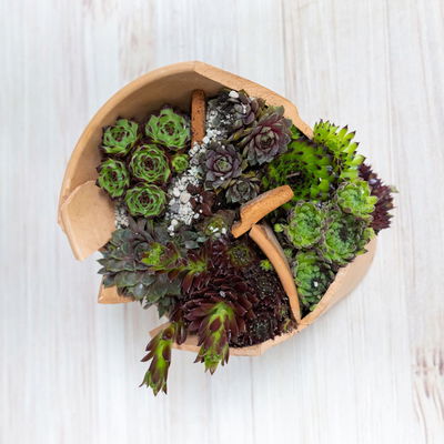 Gartenschule Kreativ 