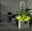 Lechuza 'Canto Premium 40 LED low', weiß, 40 x 40 x H 40 cm