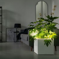 Lechuza 'Canto Premium 40 LED low', weiß, 40 x 40 x H 40 cm