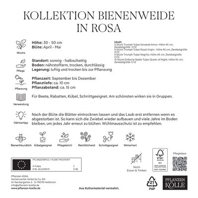 Bienenweide-Mischung in rosa