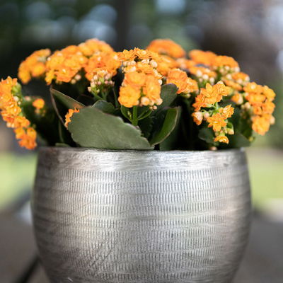 Kölle Pflanzgefäß 'Rowen', silber, ca. Ø 31 x H 28 cm