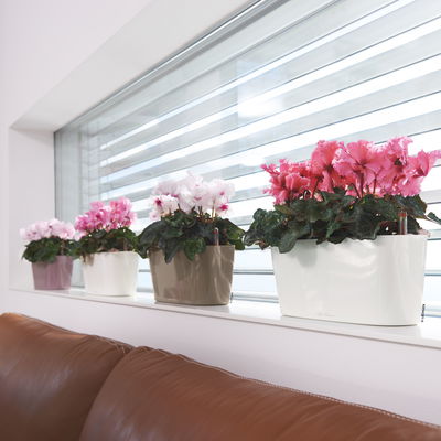 Lechuza 'Delta 10', taupe, ca. 30 x 11 x H 13 cm Lechuza 'Delta 10', taupe, ca. 30 x 11 x H 13 cm