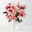 Amaryllis 'Showmaster' rot-weiss und Seidenkiefer, inkl. gratis Grußkarte Amaryllis 'Showmaster' rot-weiss und Seidenkiefer, inkl. gratis Grußkarte