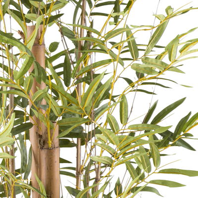 Künstlicher Bambusa vulgaris, Höhe ca. 150 cm Künstlicher Bambusa vulgaris, Höhe ca. 150 cm