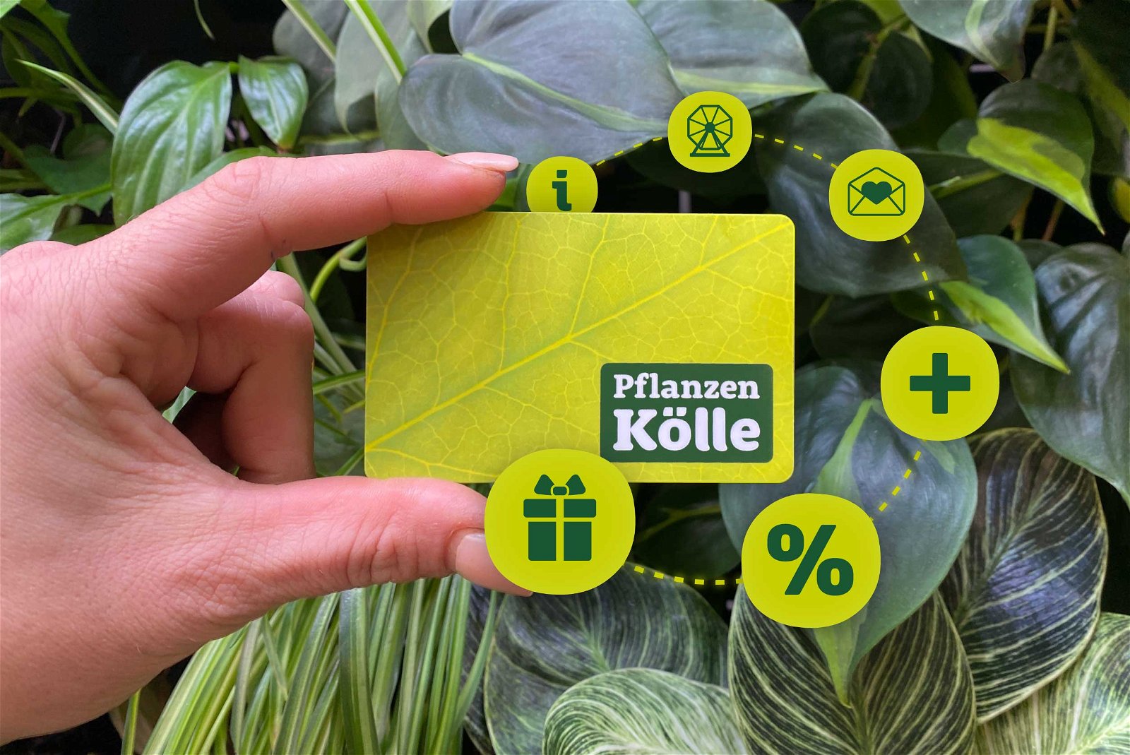 Die Pflanzen-Kölle Kundenkarte 