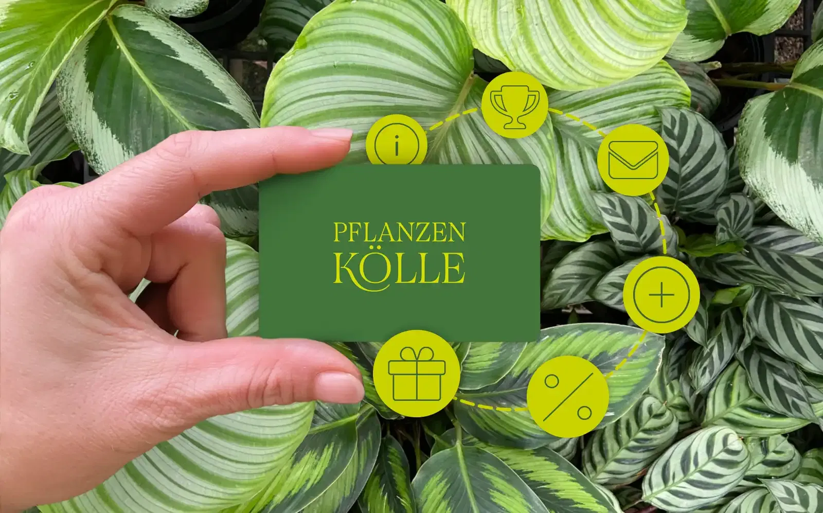 Die Pflanzen-Kölle Kundenkarte 