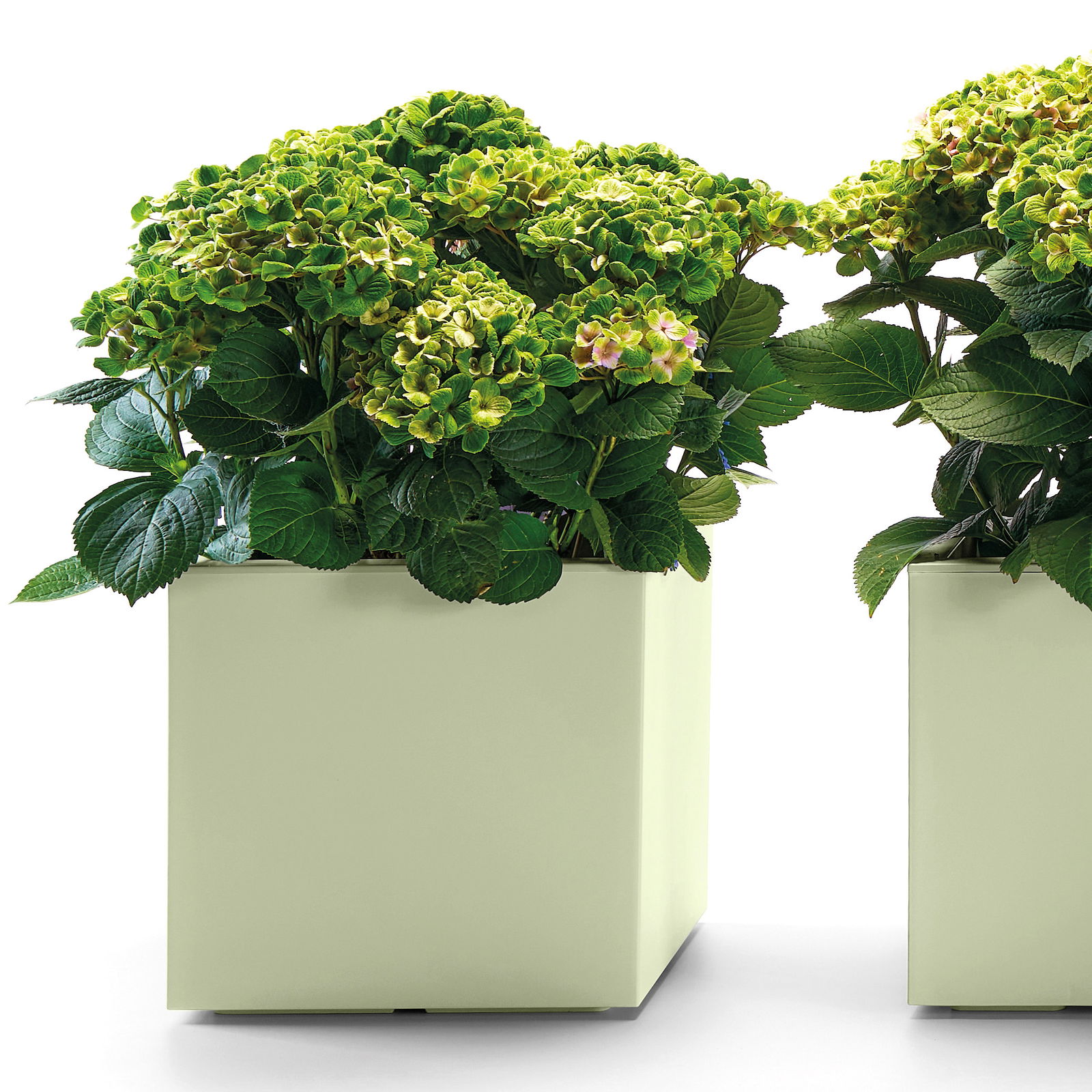 Euro 3 Plast Pflanztrog 'Kebe', grün, ca. 39,5 x 39,5 x H 39,5 cm Euro 3 Plast Pflanztrog 'Kebe', grün, ca. 39,5 x 39,5 x H 39,5 cm