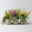 Knospenheide 'Beautybelle®', Mix zufällig, Topf-Ø 11 cm, 3 Pflanzen
