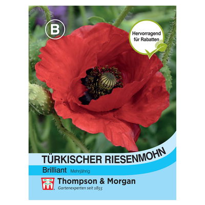 Blumensamen Türkischer Riesenmohn 'Brillant', rot