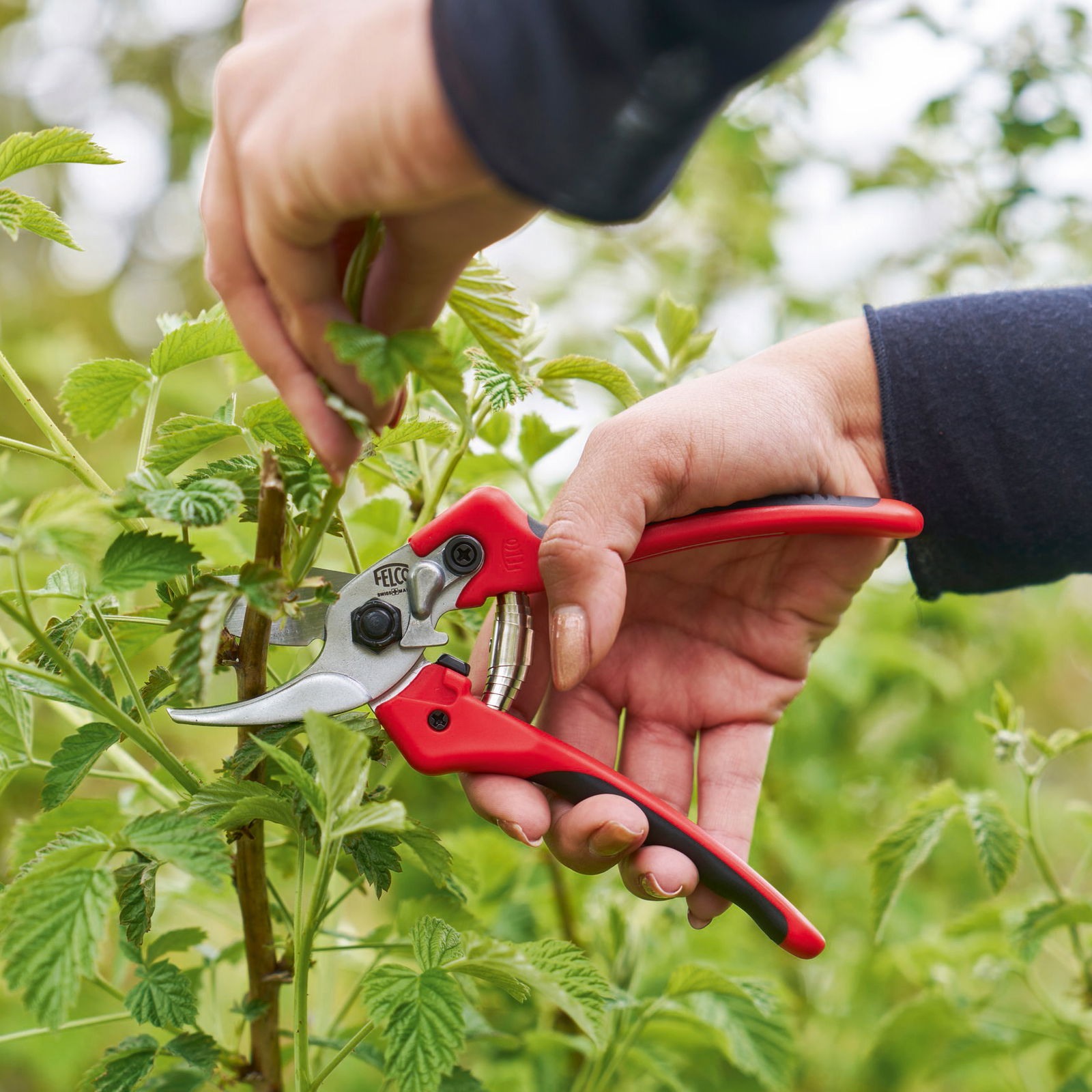 Felco Baumschere Nr. 171-M
