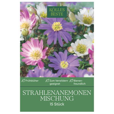 Strahlen-Anemonen Blanda, Größe 5+, 15 Blumenzwiebeln Strahlen-Anemonen Blanda, Größe 5+, 15 Blumenzwiebeln