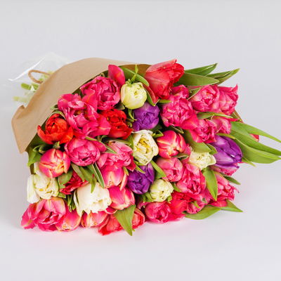 30 gefüllte Tulpen, bunt 30 gefüllte Tulpen, bunt