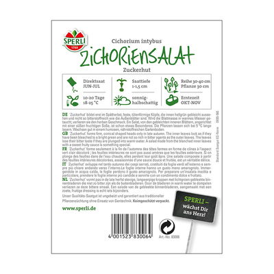 Gemüsesamen, Zichoriensalat 'Zuckerhut' Gemüsesamen, Zichoriensalat 'Zuckerhut'