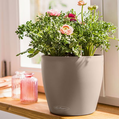 Lechuza 'Classico Color 43', sandbraun, ca. Ø 42 x H 39,5 cm Lechuza 'Classico Color 43', sandbraun, ca. Ø 42 x H 39,5 cm