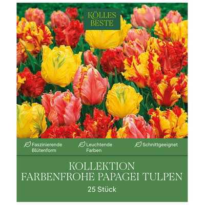 Kölles Beste Blumenzwiebeln Kollektion Farbenfrohe Papagei Tulpen 25 Stück Kölles Beste Blumenzwiebeln Kollektion Farbenfrohe Papagei Tulpen 25 Stück