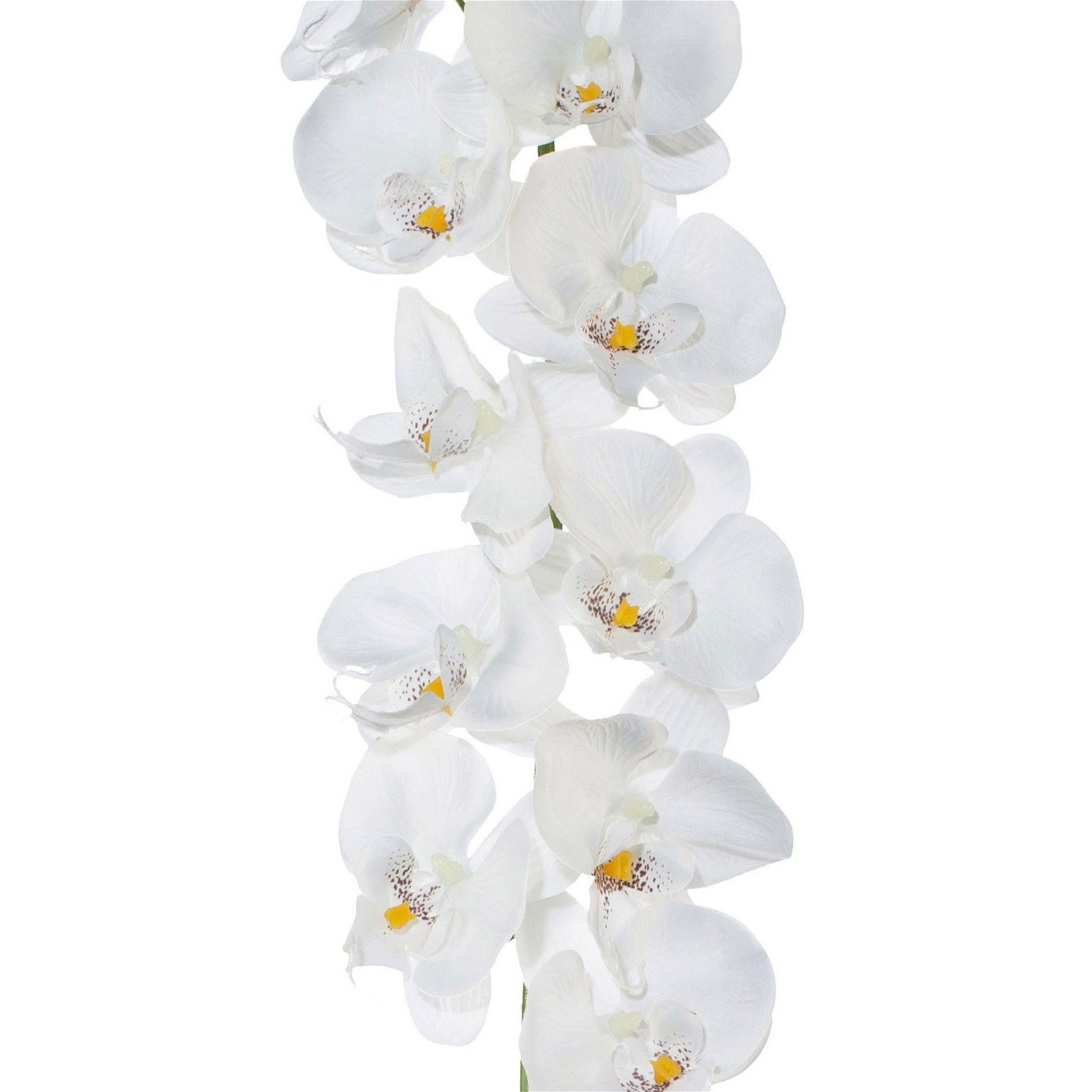 Kunstpflanze Phalaenopsis-Girlande, weiß, Höhe ca. 173 cm