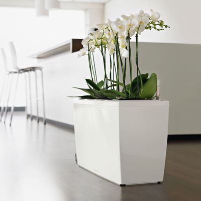 Lechuza 'Cararo', weiß, ca. 75 x 30 x H 42,5 cm