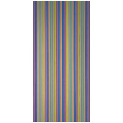 Conacord Streifenvorhang 'Brillant', bunt, PE-Folie, ca. H200 x B90 cm