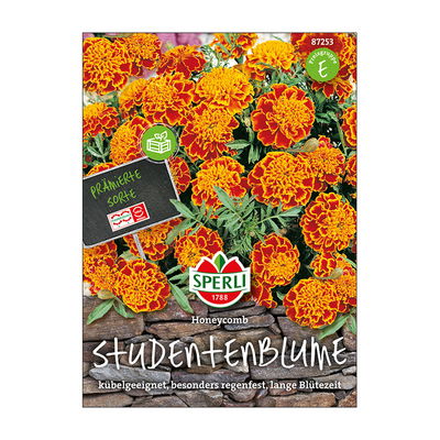Blumensamen, Studentenblume 'Honeycomb'