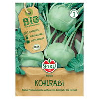 Bio-Saatgut Kohlrabi, weiß