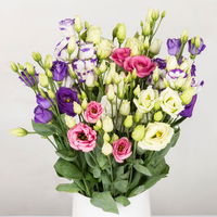 Gemischter Blumenbund 'Lisianthus' inkl. gratis Grußkarte