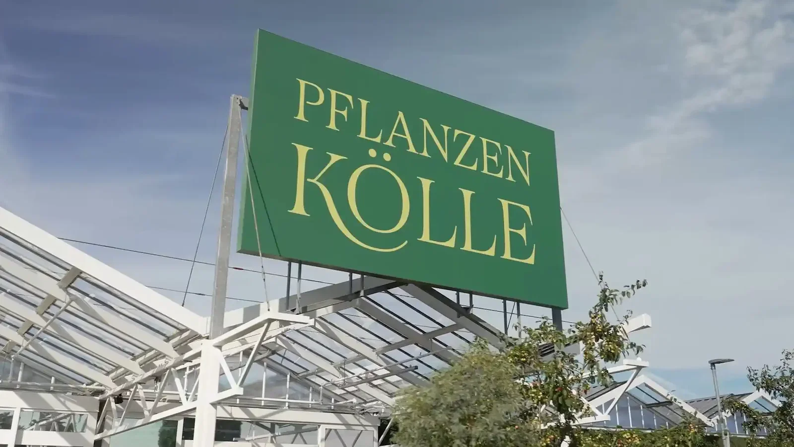 Pflanzen K lle Ein Traditionsunternehmen Pflanzen K lle Ein Traditionsunternehmen
