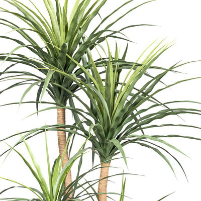 Künstliche Dracaena, Höhe ca. 160 cm Künstliche Dracaena, Höhe ca. 160 cm