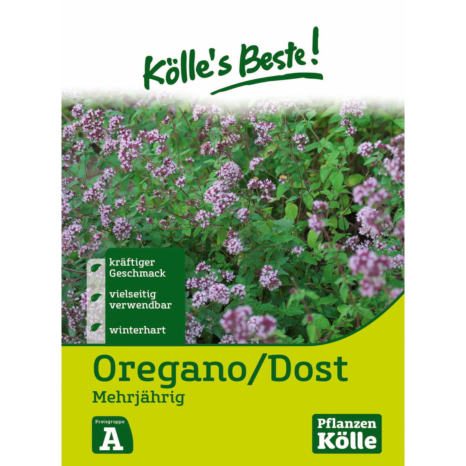 Kölle's Beste Oregano/Dost mehrjährig, 6,1 g