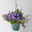 Hängepolster-Glockenblume 'Adansa® Purple' blau-weiß, Ampeltopf-Ø 19 cm Hängepolster-Glockenblume 'Adansa® Purple' blau-weiß, Ampeltopf-Ø 19 cm