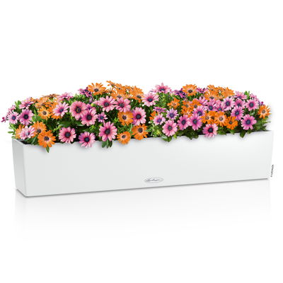 Lechuza 'Balconera Color 100' weiß, ca. 99 x 19 x H 19 cm