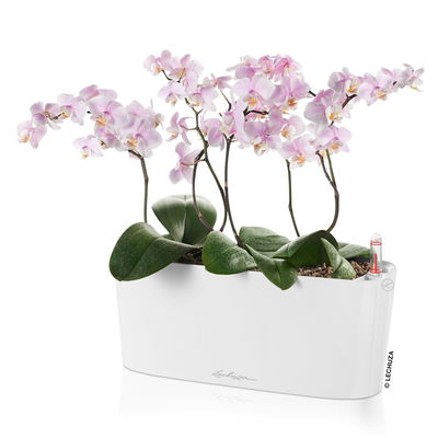 Lechuza 'Delta 10', weiß, ca. 30 x 11 x H 13 cm Lechuza 'Delta 10', weiß, ca. 30 x 11 x H 13 cm