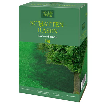 Kölles Beste Schattenrasen mit Lägerrispe Poa supina, 1 kg