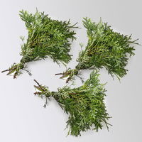 Thujopsis im Handbund, 3 Bund Thujopsis im Handbund, 3 Bund