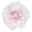 Fleißiges Lieschen 'Appleblossom' rosa, gefüllt, Topf -Ø 12 cm, 6er-Set