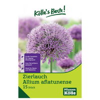 Iranlauch Allium Aflatunense, 15 Blumenzwiebeln