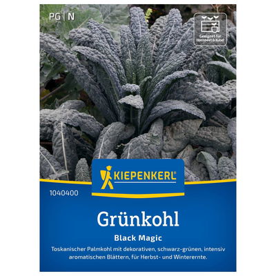 Gemüsesamen, Grünkohl 'Black Magic', grün Gemüsesamen, Grünkohl 'Black Magic', grün