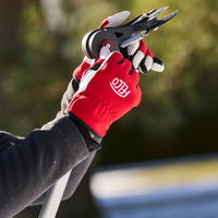 Felco Teleskop Astschere Nr. 290, Länge ca. 239 – 400 cm Felco Teleskop Astschere Nr. 290, Länge ca. 239 – 400 cm