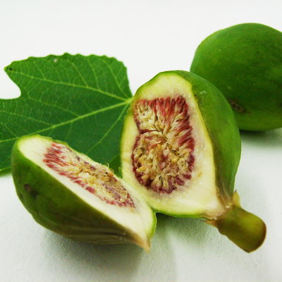 Blu Bio Feigenbaum, Topf-Ø 12 cm, 2er-Set