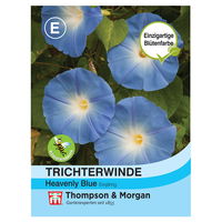 Thompson & Morgan Blumensamen Trichterwinde 