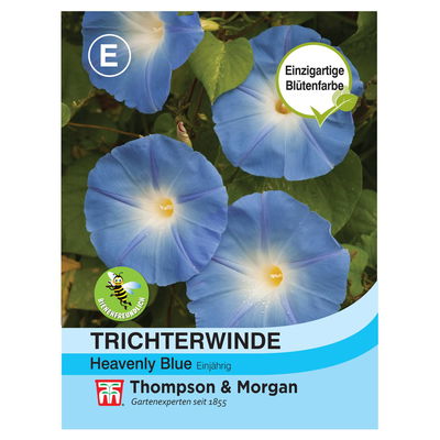 Thompson & Morgan Blumensamen Trichterwinde 