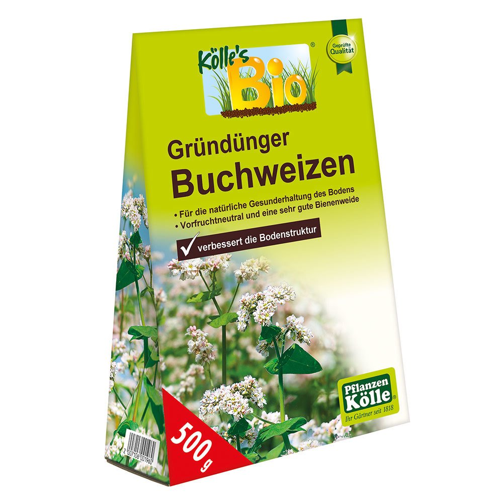 Kölle Bio Gründünger Buchweizen, 500 g