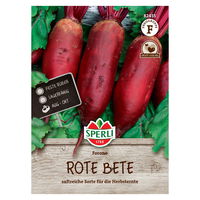 Saatgut Rote Beete 'Forono'