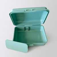 Dino Snack®, Sisko, Goldtüpfelfarn, Topf-Ø 14 cm, mit Brotdose