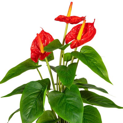 Kunstpflanze Anthurie, rot, Höhe ca. 40 cm