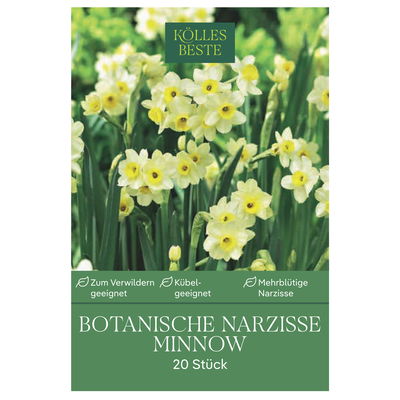 Botanische Narzissen Minnow weiß/gelb, 20 Blumenzwiebeln Botanische Narzissen Minnow weiß/gelb, 20 Blumenzwiebeln