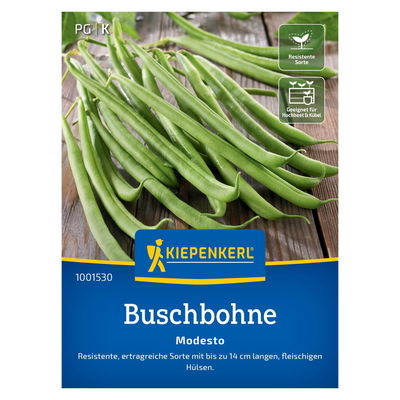 Gemüsesamen, Buschbohnen 'Modesto'