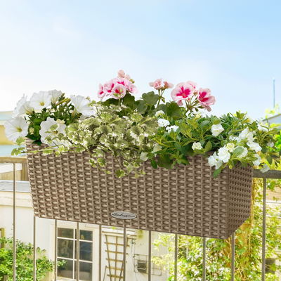 Pflanzenkreation Blütenmärchen, 4 Pflanzen inkl. Erde und Dünger