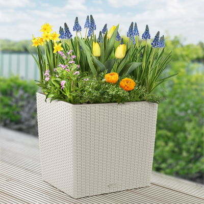 Lechuza 'Cube Cottage 40', weiß, ca. 39 x 39 x H 40 cm Lechuza 'Cube Cottage 40', weiß, ca. 39 x 39 x H 40 cm