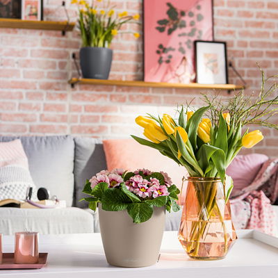 Lechuza 'Classico Color 35', sandbraun, ca. Ø 34,5 x H 32,5 cm Lechuza 'Classico Color 35', sandbraun, ca. Ø 34,5 x H 32,5 cm